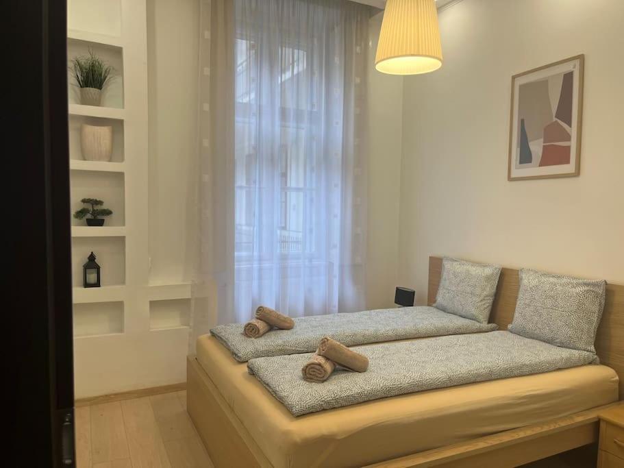 Szechenyi Renovated 2Br At Danube River Budapest Esterno foto